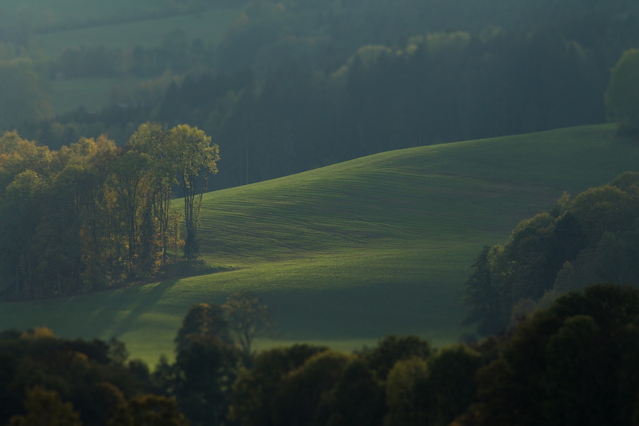 The Connection between Green Spaces and Mental Health